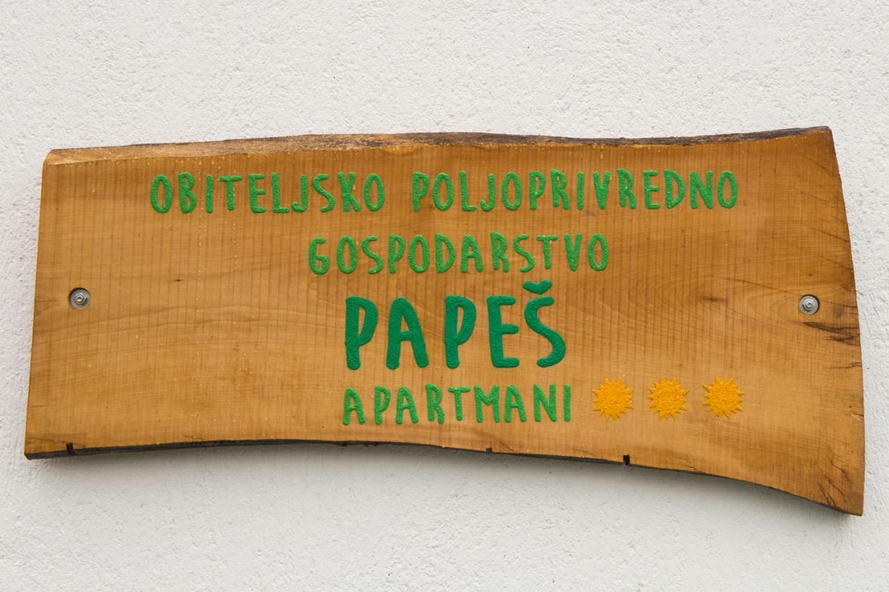 Apartmani Papes كرابينا المظهر الخارجي الصورة